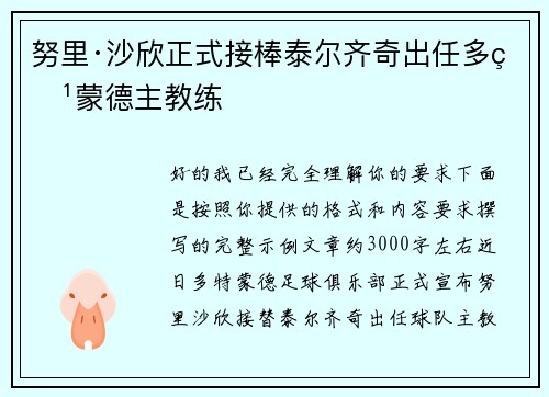 努里·沙欣正式接棒泰尔齐奇出任多特蒙德主教练